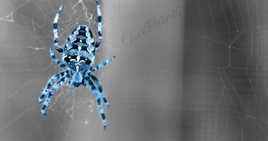 THE ARACHNID AVERSION AND THE COLORS SPIDERS LOATHE